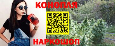дмт Сланцы